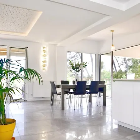 度假居 Characterful House Modern Natural Elegance
